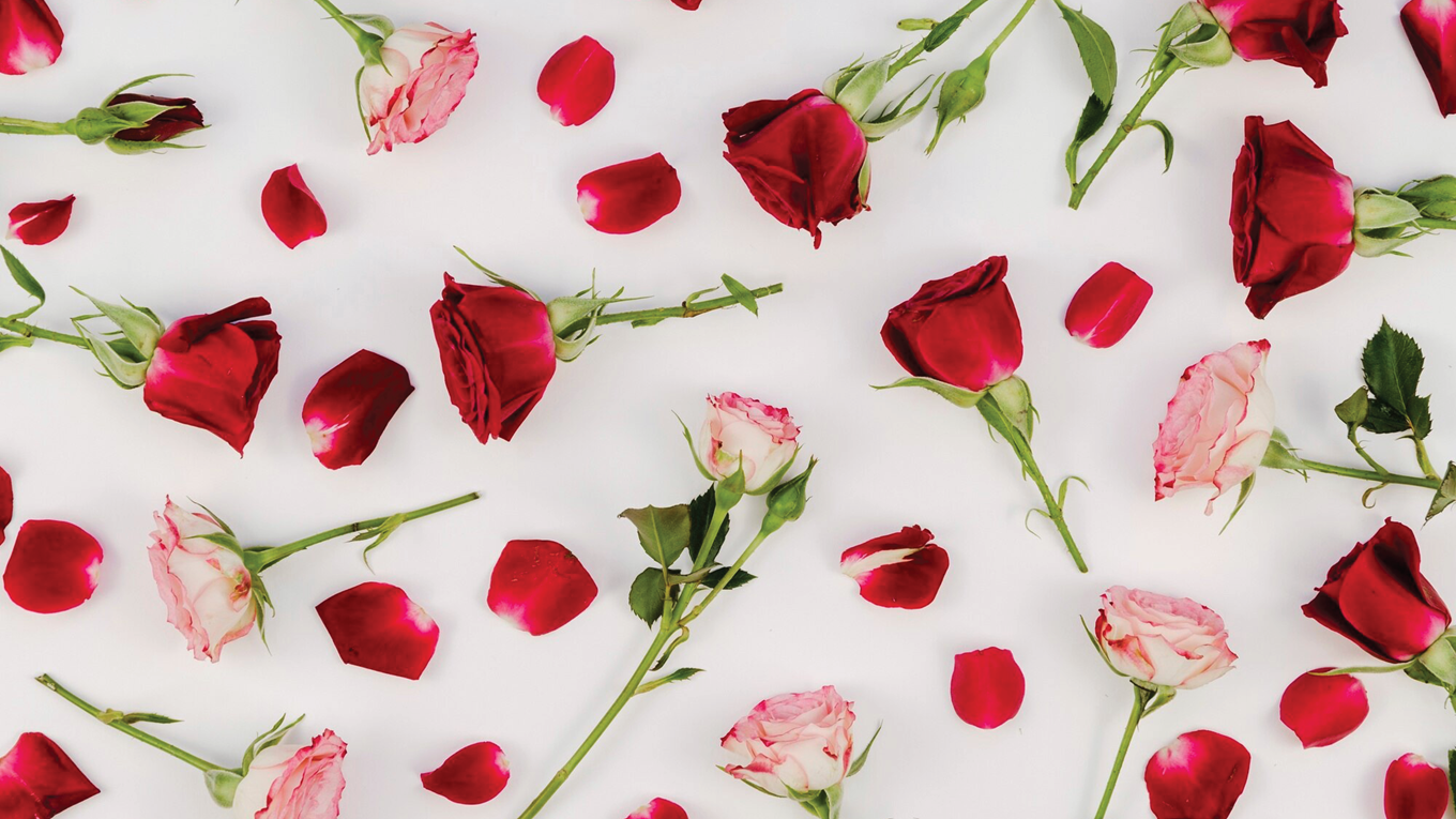 page banner