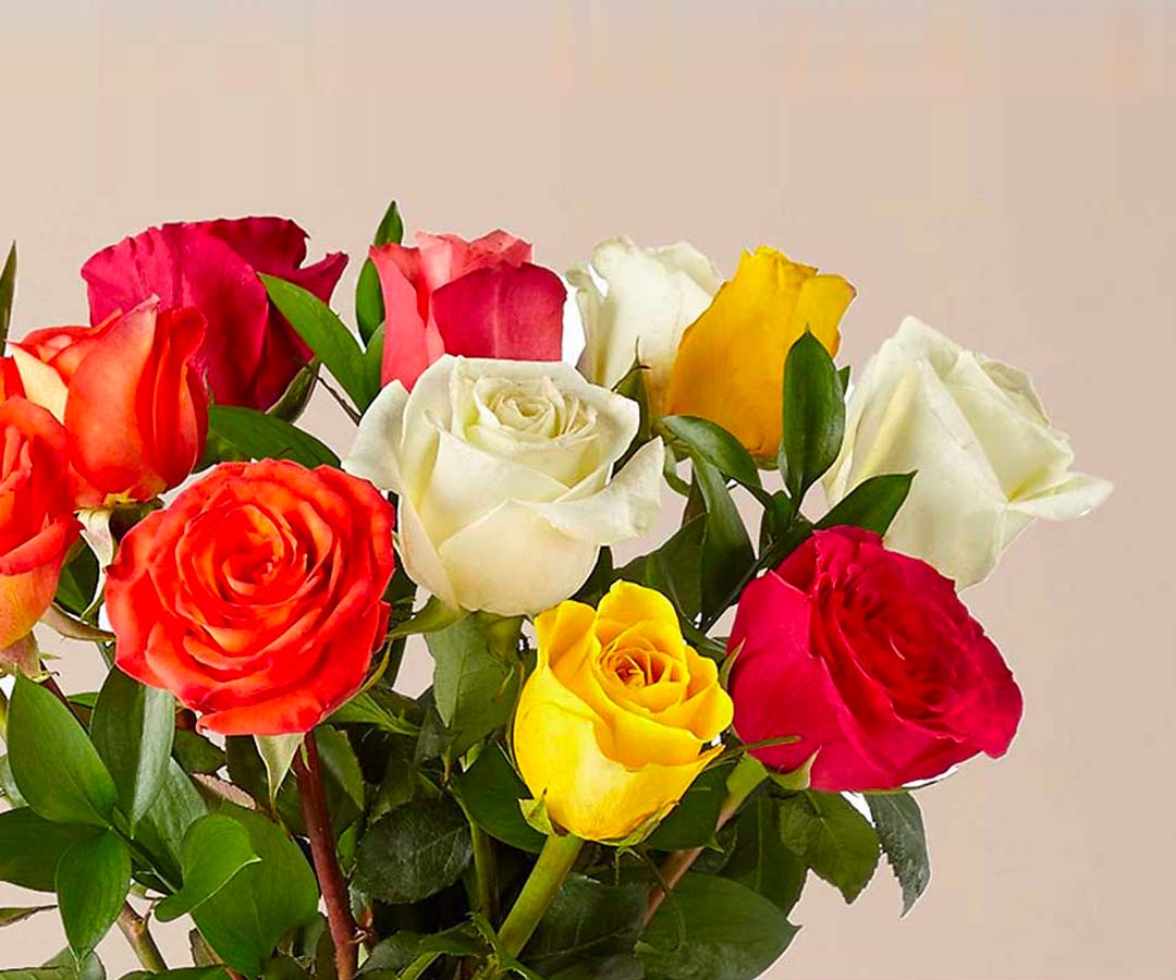 Rose Avenue Bawabat Sharq Mall